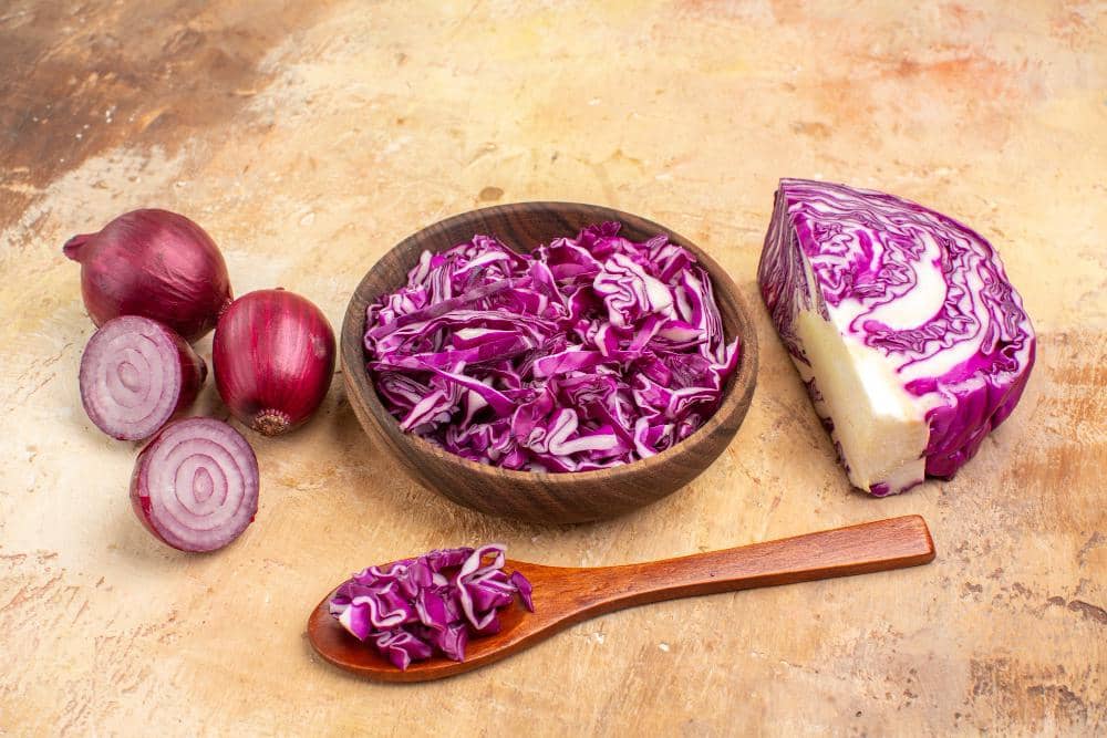 ilustrasi red onion dan kubis ungu untuk salad