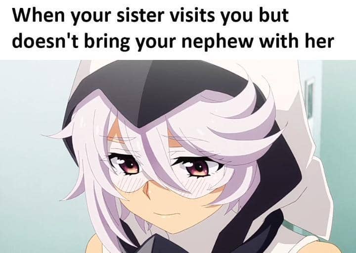 8 Meme Anime tentang Keponakan, Teman Main Baru