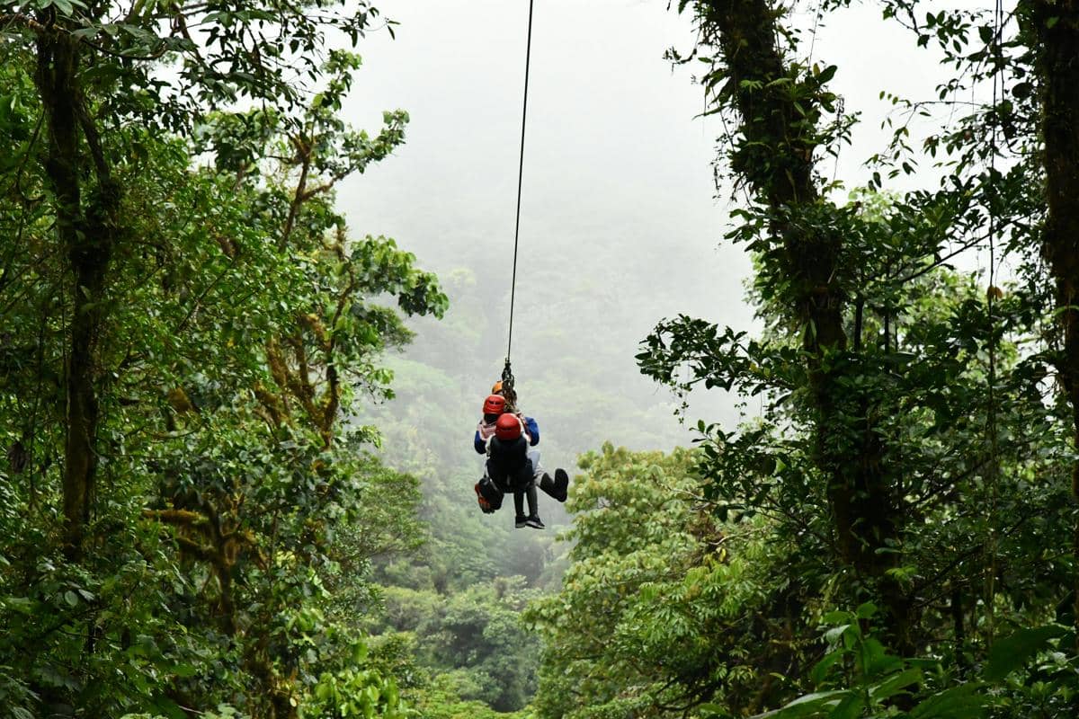 Ilustrasi flying fox di kawasan Tebing Lingga dengan panorama alam terbuka.