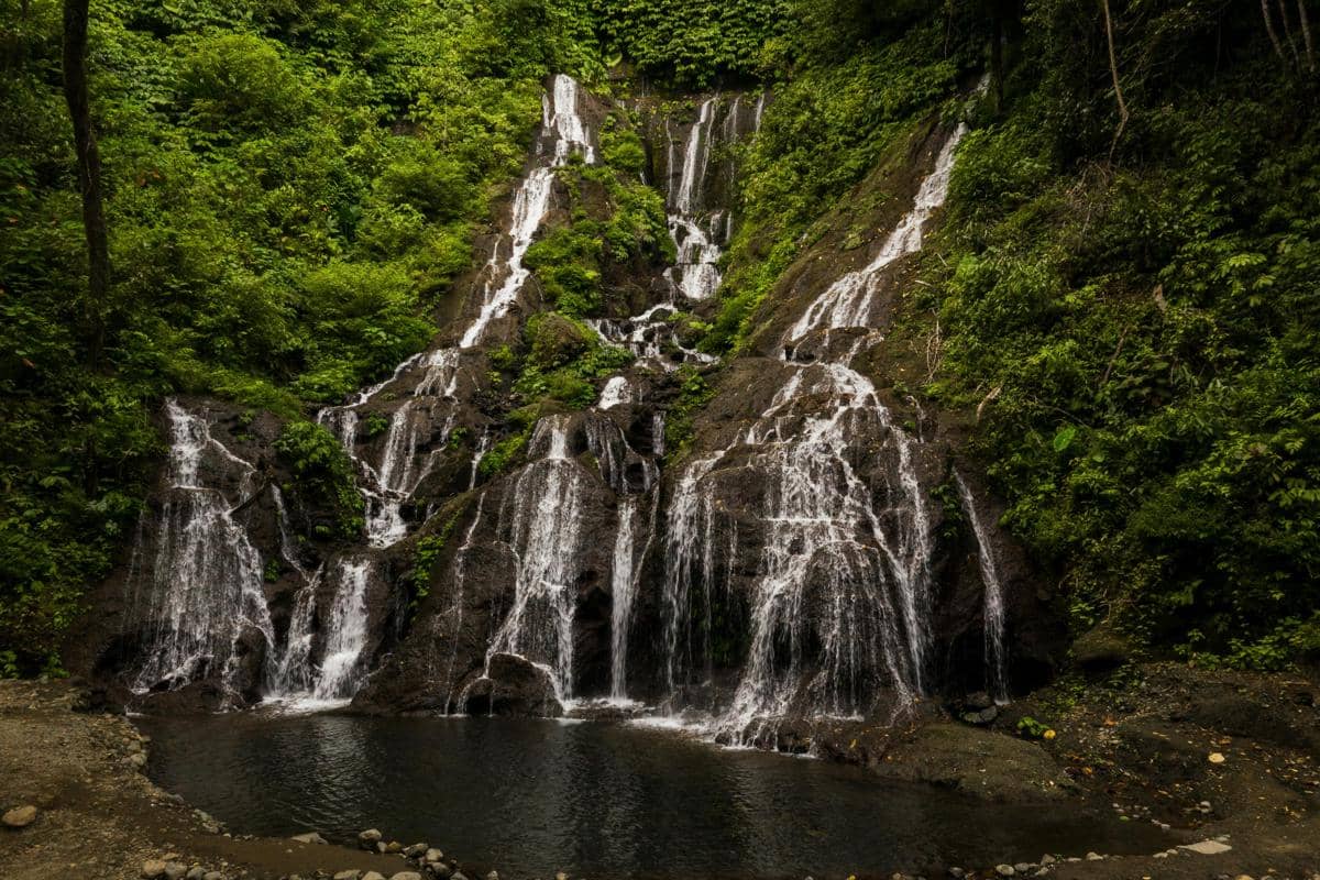 Ilustrasi Air Terjun Watu Lapis dengan aliran yang tenang di tengah rimbunnya pepohonan.