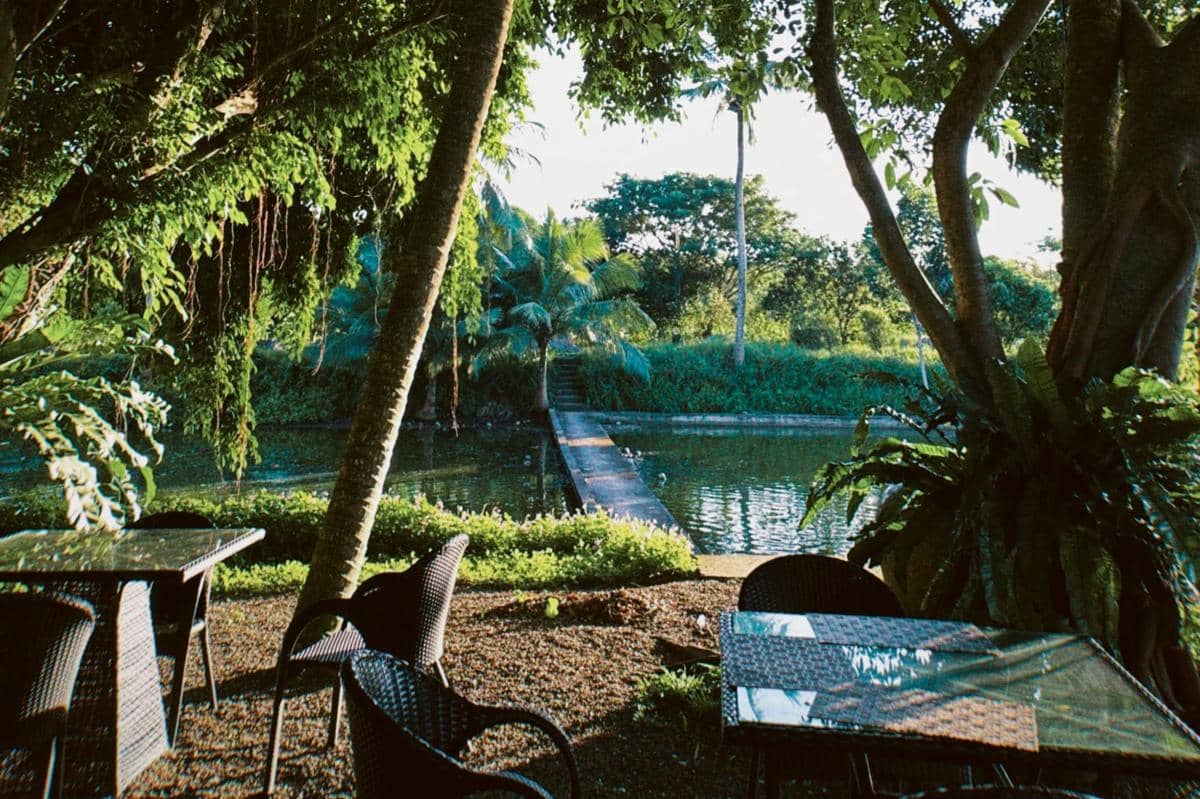 Ilustrasi tempat makan dengan konsep alam terbuka. 