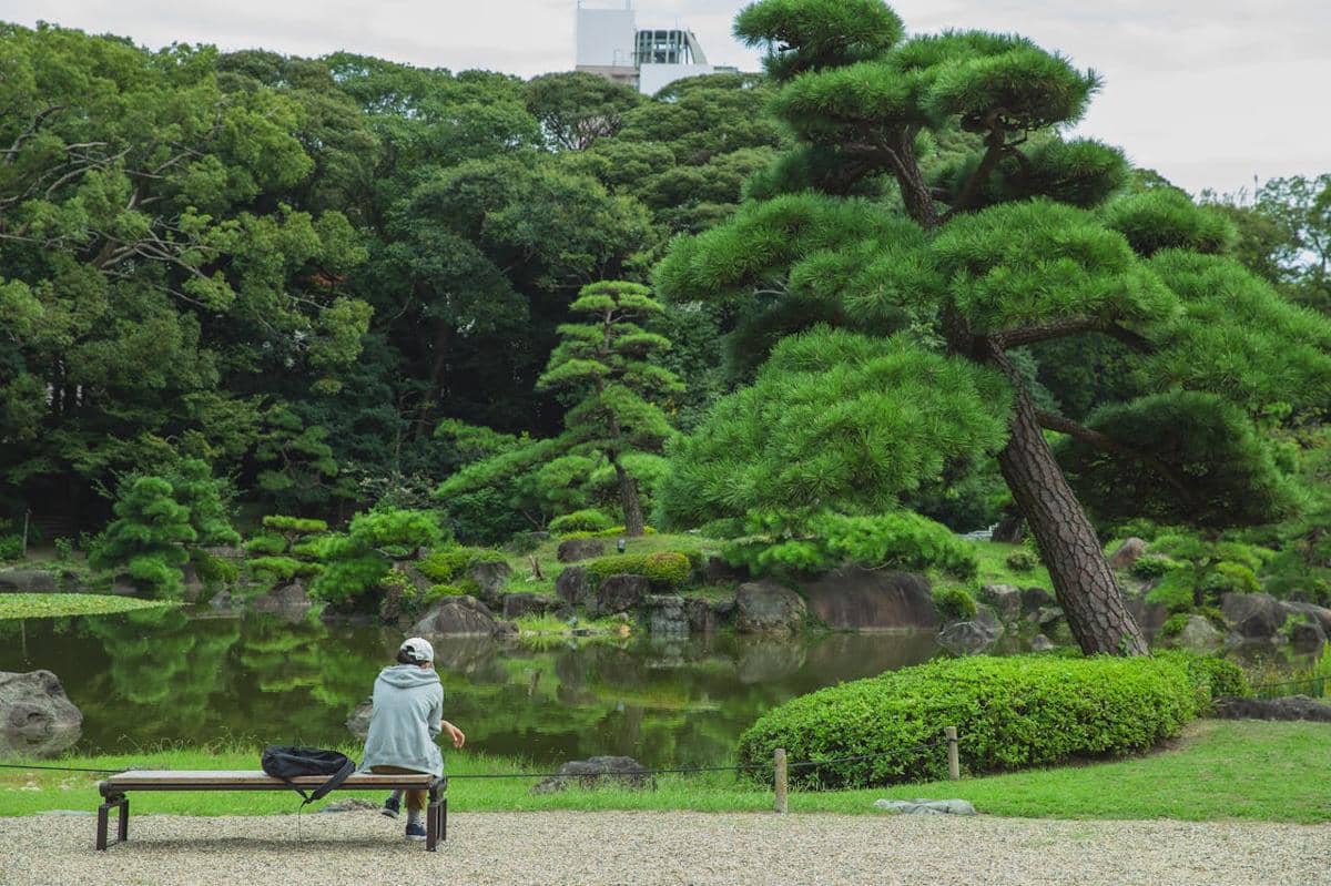 ilustrasi taman di Jepang