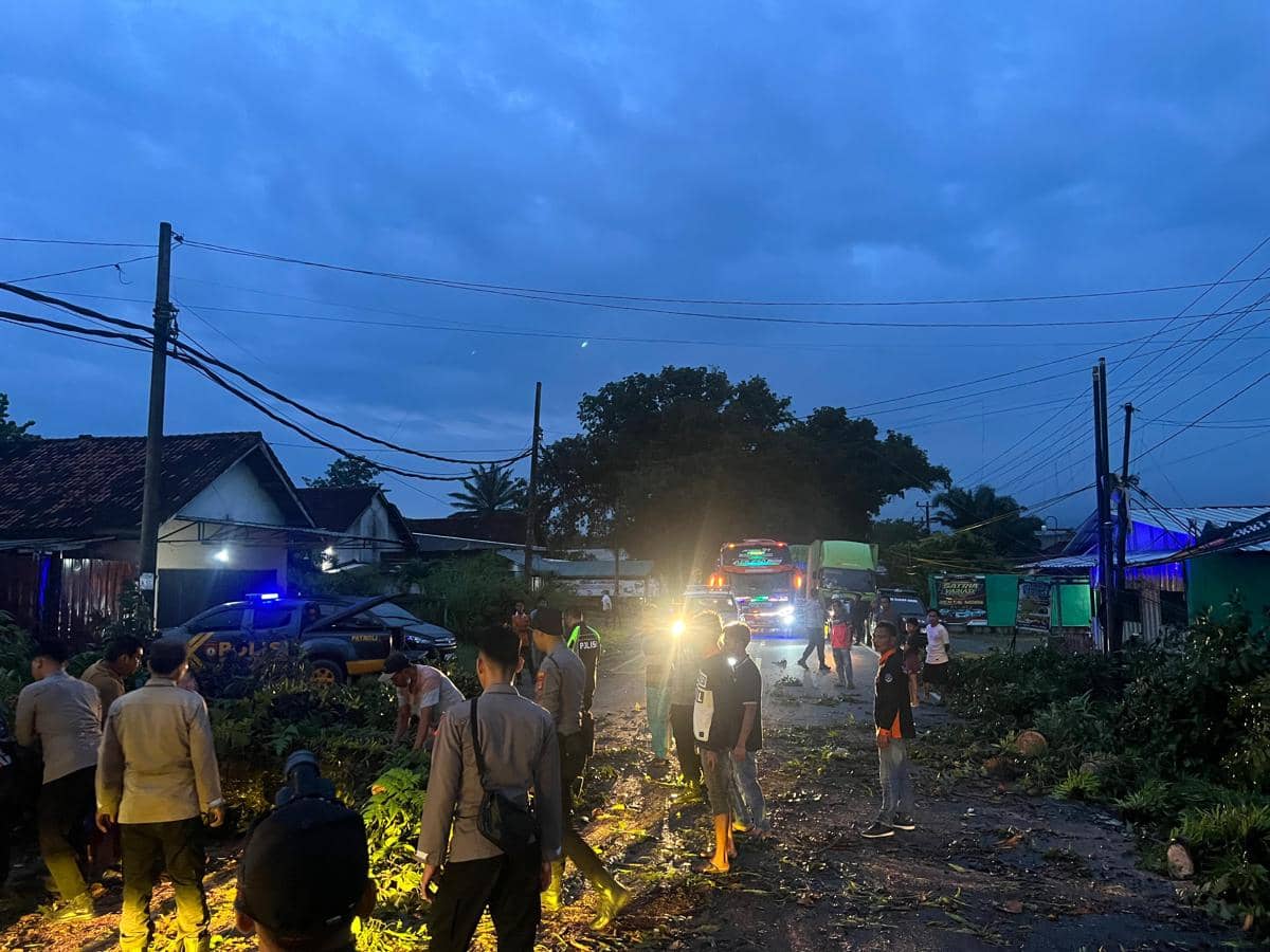 Pohon Tumbang di Jalintim Tuba, Arus Lalu Lintas Sempat Lumpuh!