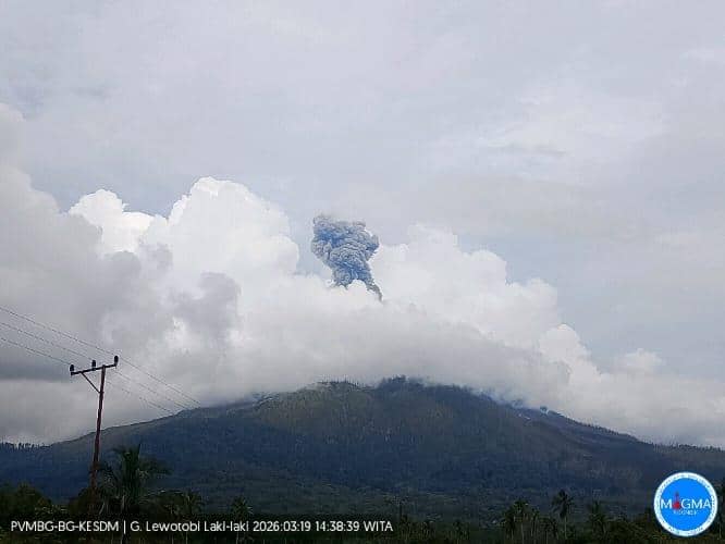 Gunung Lewotobi Laki-laki Erupsi Lagi, Kolom Abu Capai Seribu Meter