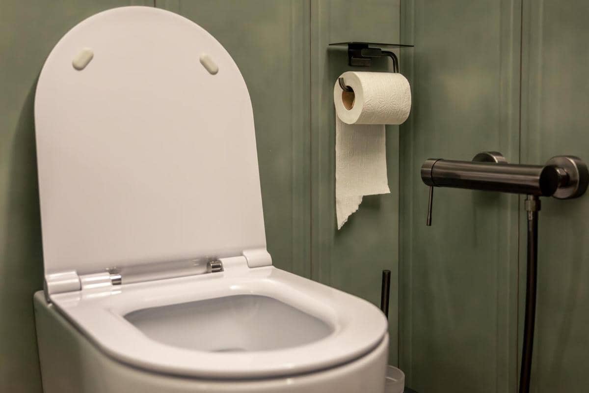 ilustrasi tisu toilet