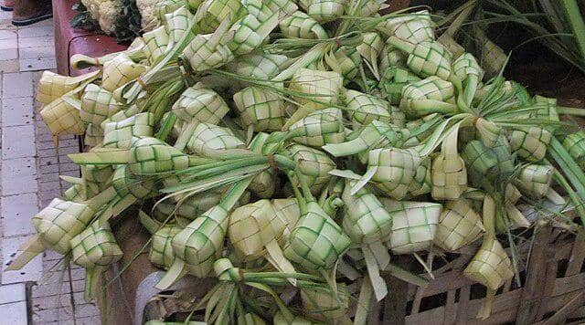 ilustrasi kulit ketupat 