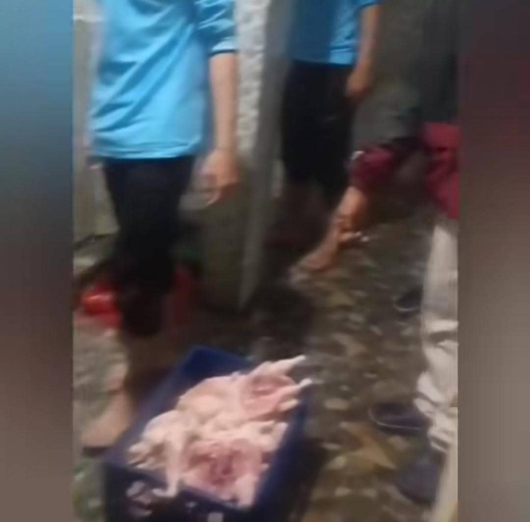 BGN Suspend SPPG yang Cuci Ayam MBG di Tempat Wudhu Masjid Bogor