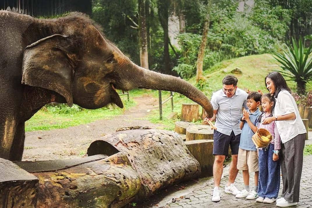 5 Tempat Wisata Hewan di Jabodetabek untuk Libur Lebaran Kali Ini