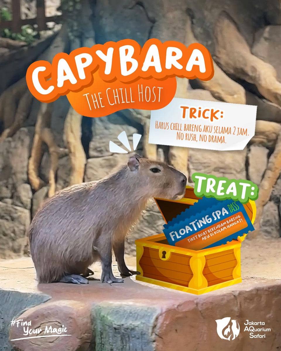 Jakarta Aquarium Safari