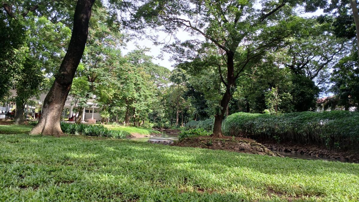 potret Tebet Eco Park