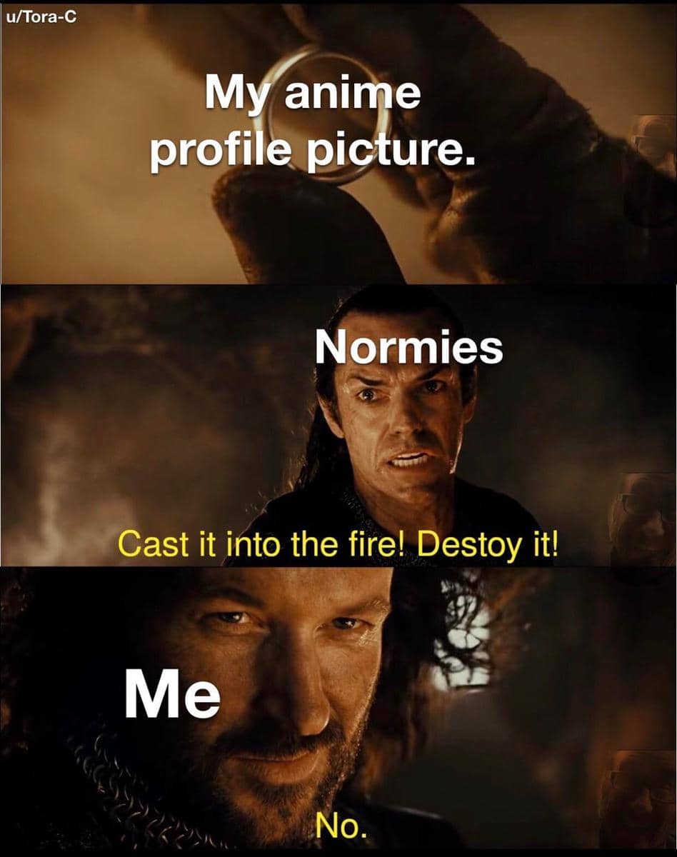 meme anime tentang foto profil