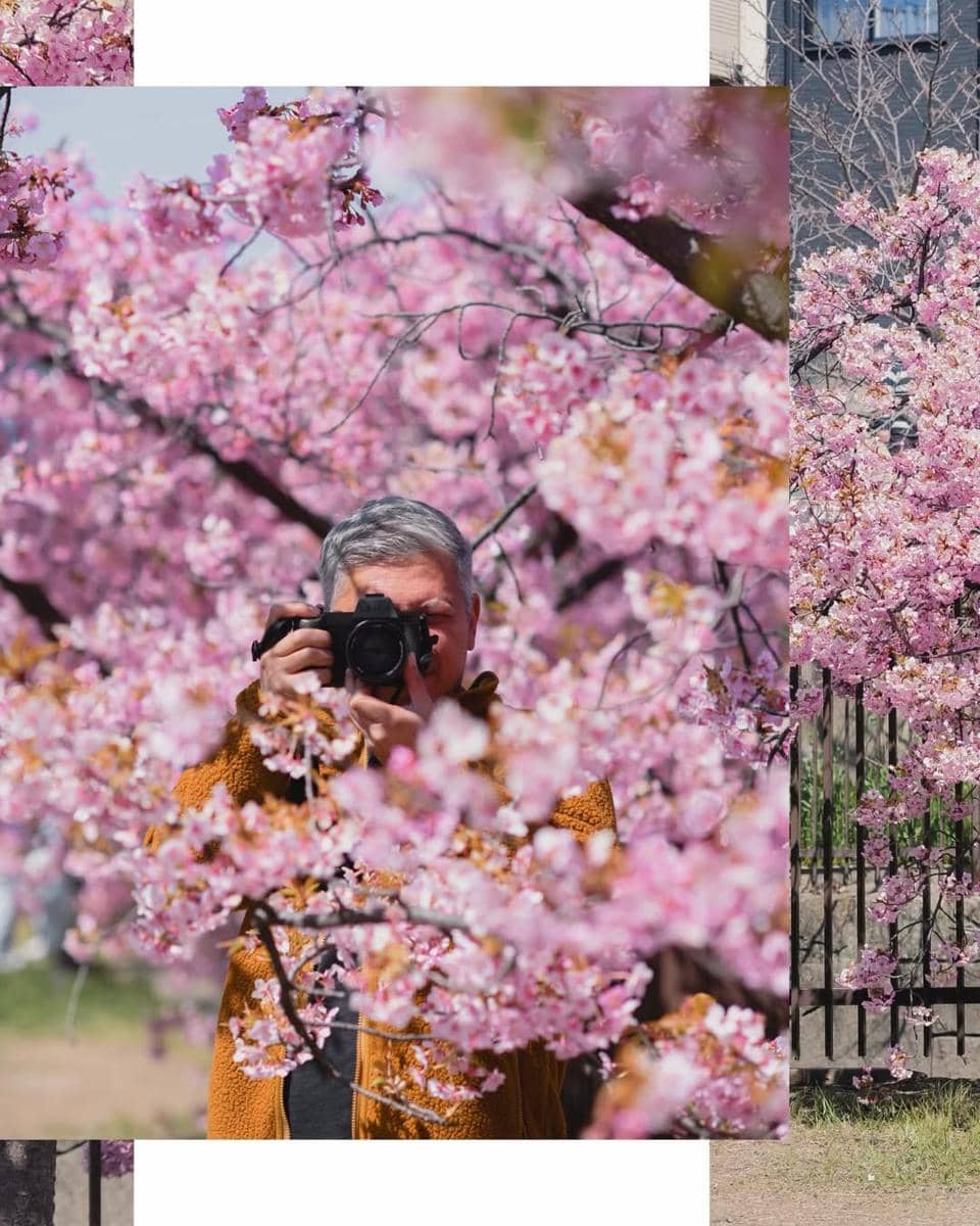Gading, Gisel, Gempita menikmati sakura di Kōraku-en Garden