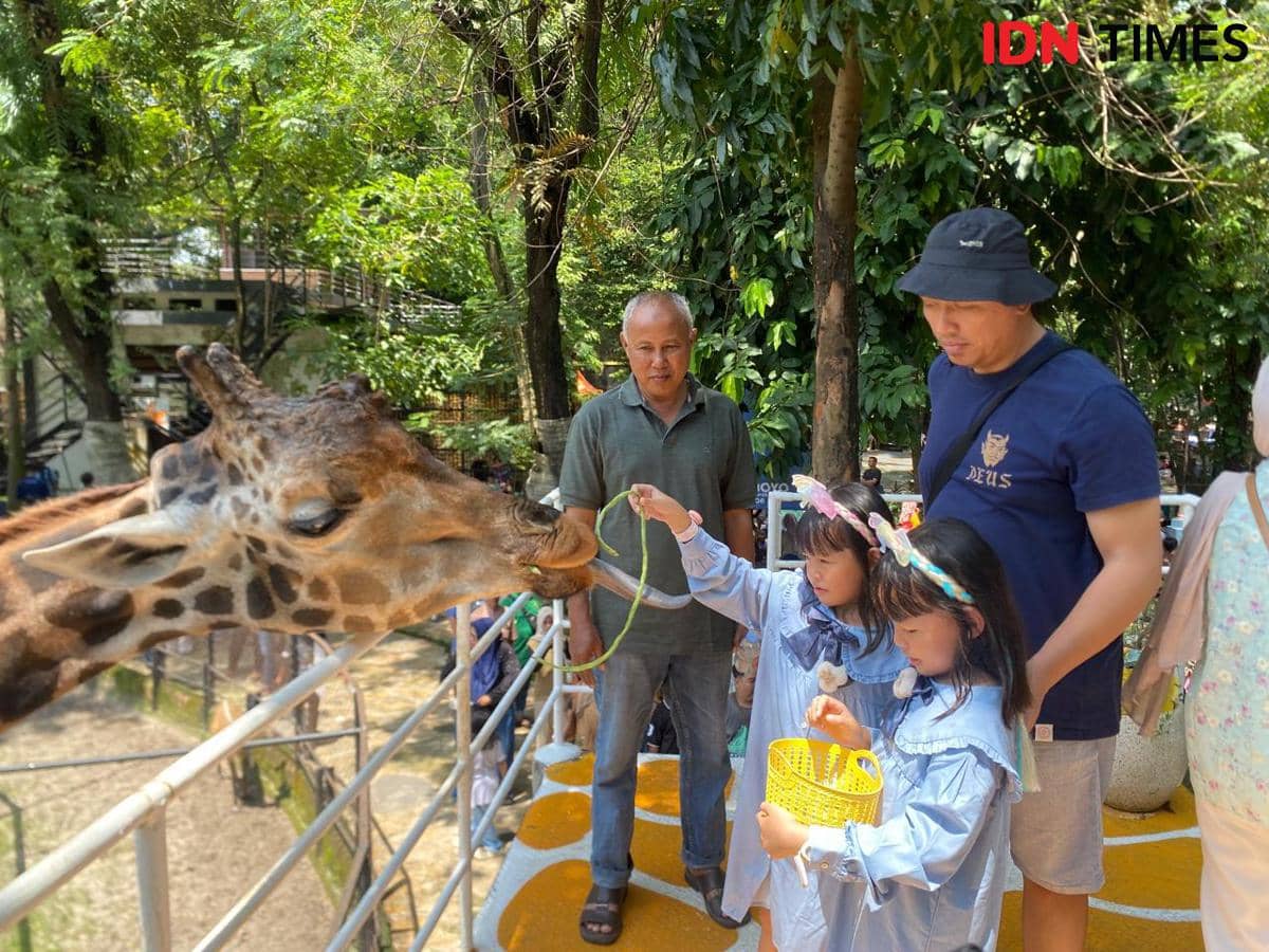 Libur Lebaran, 10 Ribu Orang Padati Kebun Bintang Surabaya