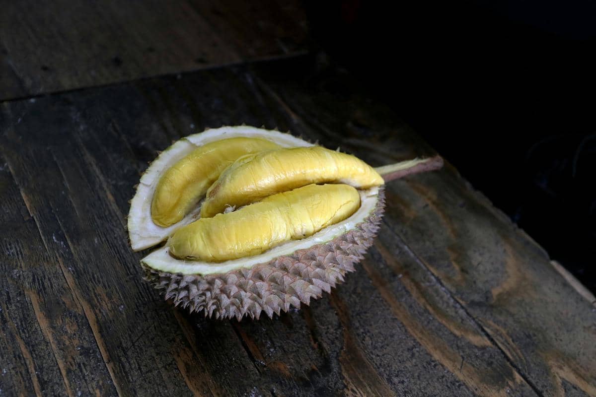 Ilustrasi durian 