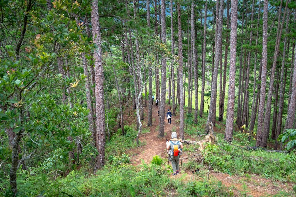 ilustrasi pendaki di daerah tropis