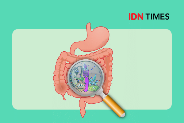 Bakteri Usus Ini Ternyata Bisa Bikin Otot Lebih Kuat