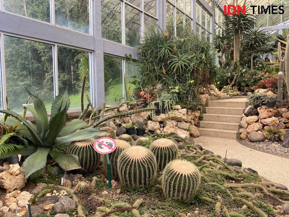 9 Spot Foto Ikonik di Kebun Raya Bali, Yuk Siapkan Pose Terbaikmu