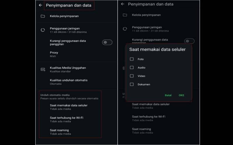 fitur media auto-download