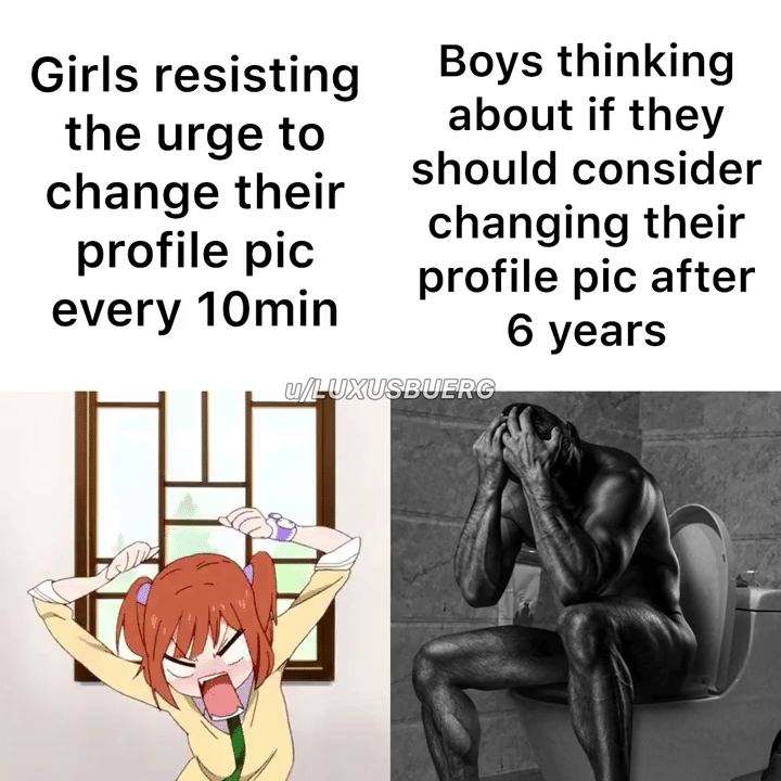 meme kartun tentang foto profil