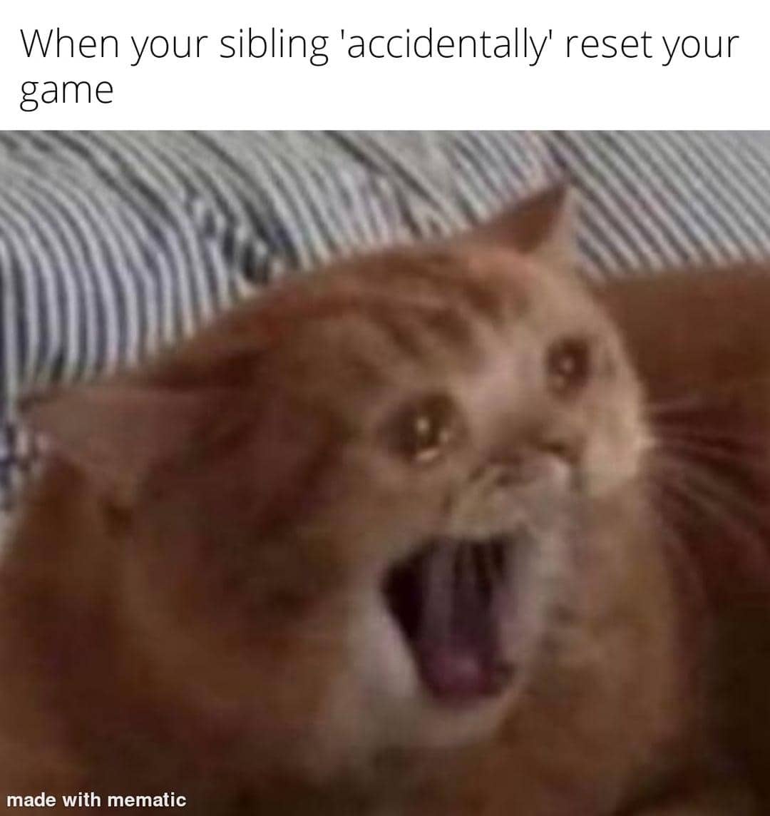 meme kucing tentang saudara