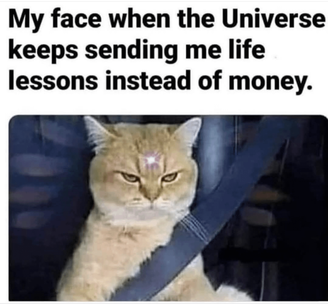 meme kucing tentang uang