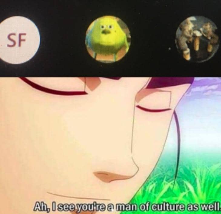 meme kartun tentang foto profil