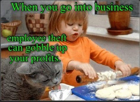 meme kucing tentang karyawan