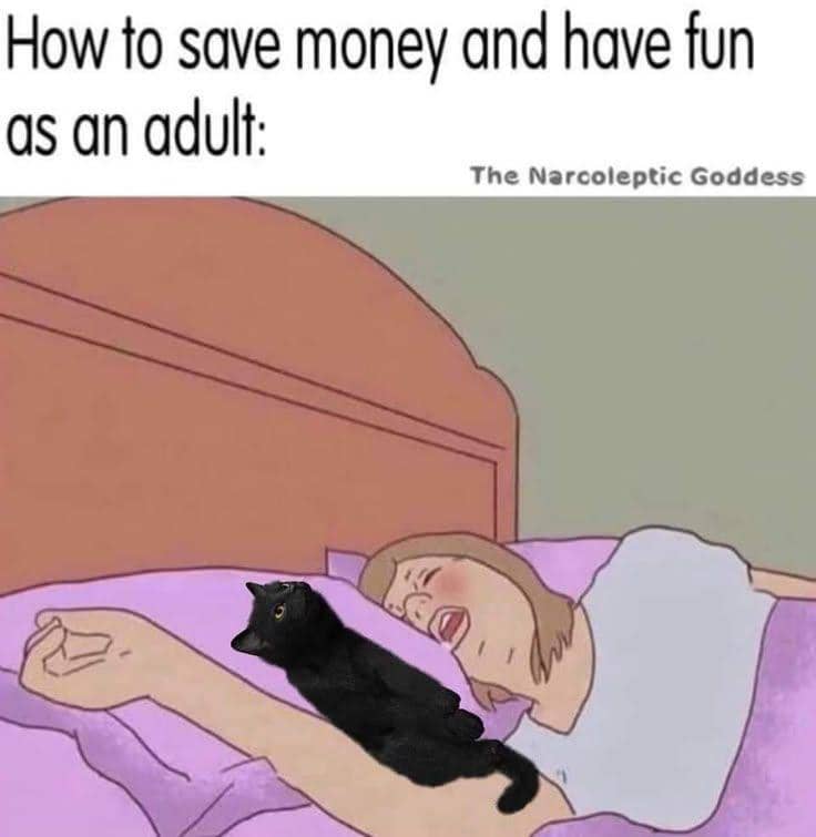 meme kucing tentang uang