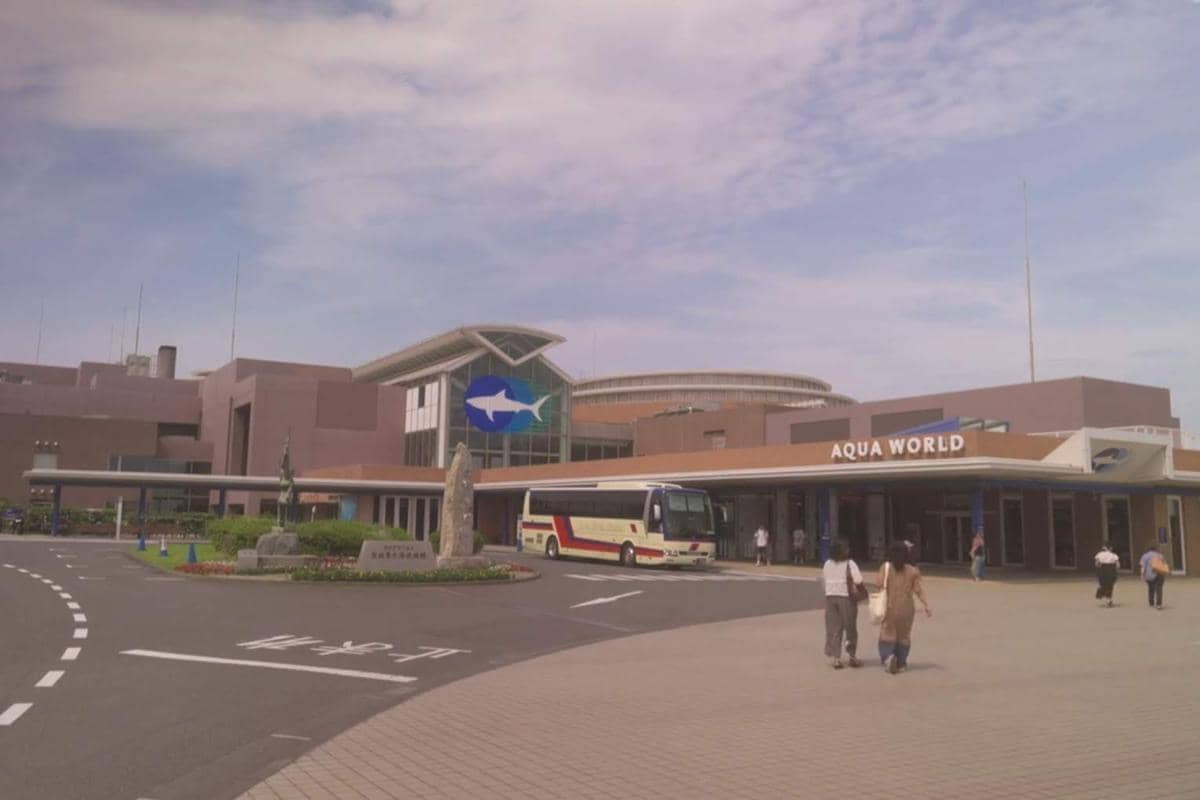 Aqua World Ibaraki Oarai Aquarium, cuplikan drama Gimbap and Onigiri