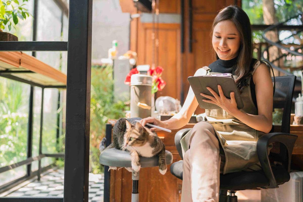 3 Rekomendasi Kafe Kucing Favorit di Surabaya untuk Cat Lovers