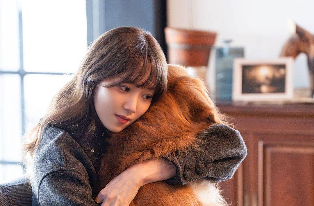 still cut drama Korea In Your Radiant Season