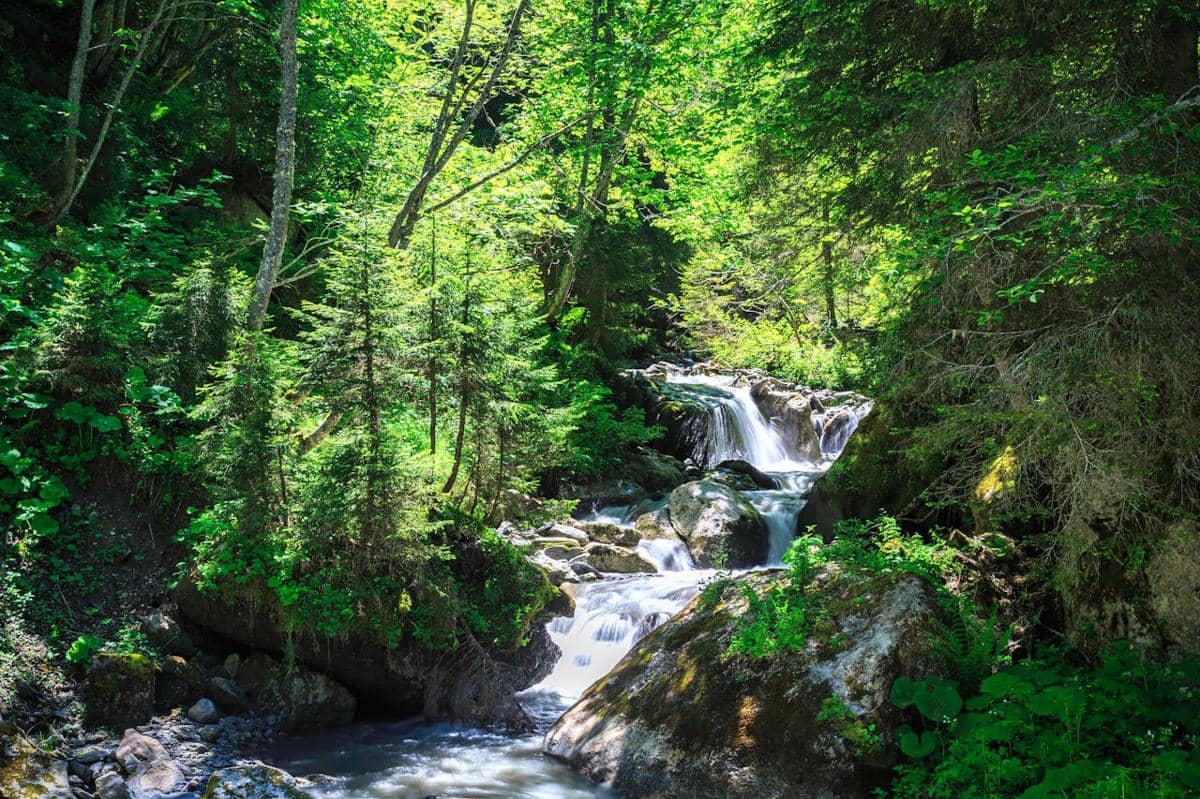 Ilustrasi sumber mata air