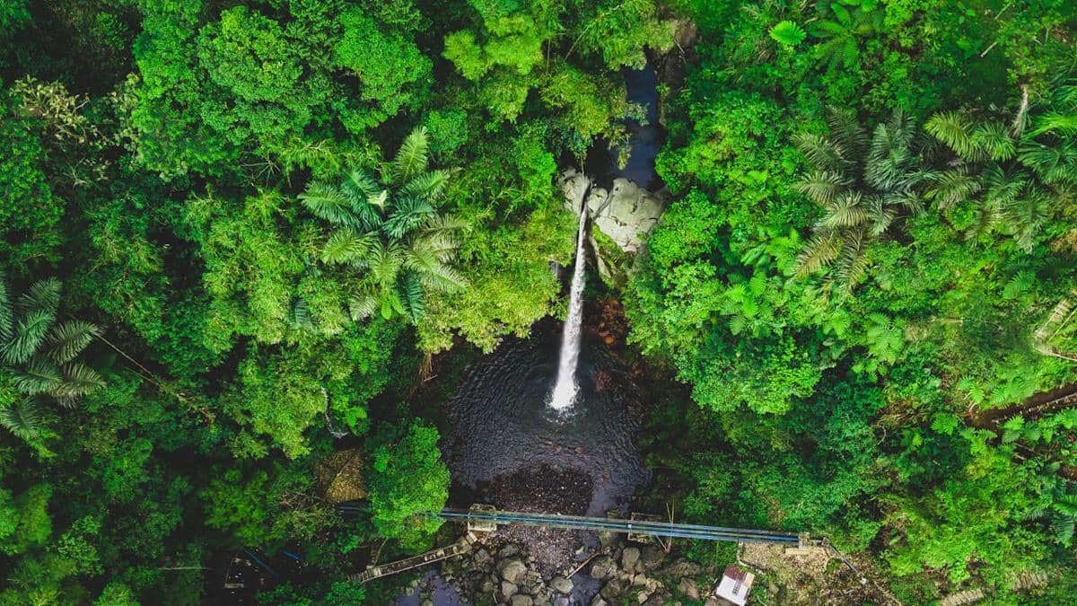 Ilustrasi sumber mata air