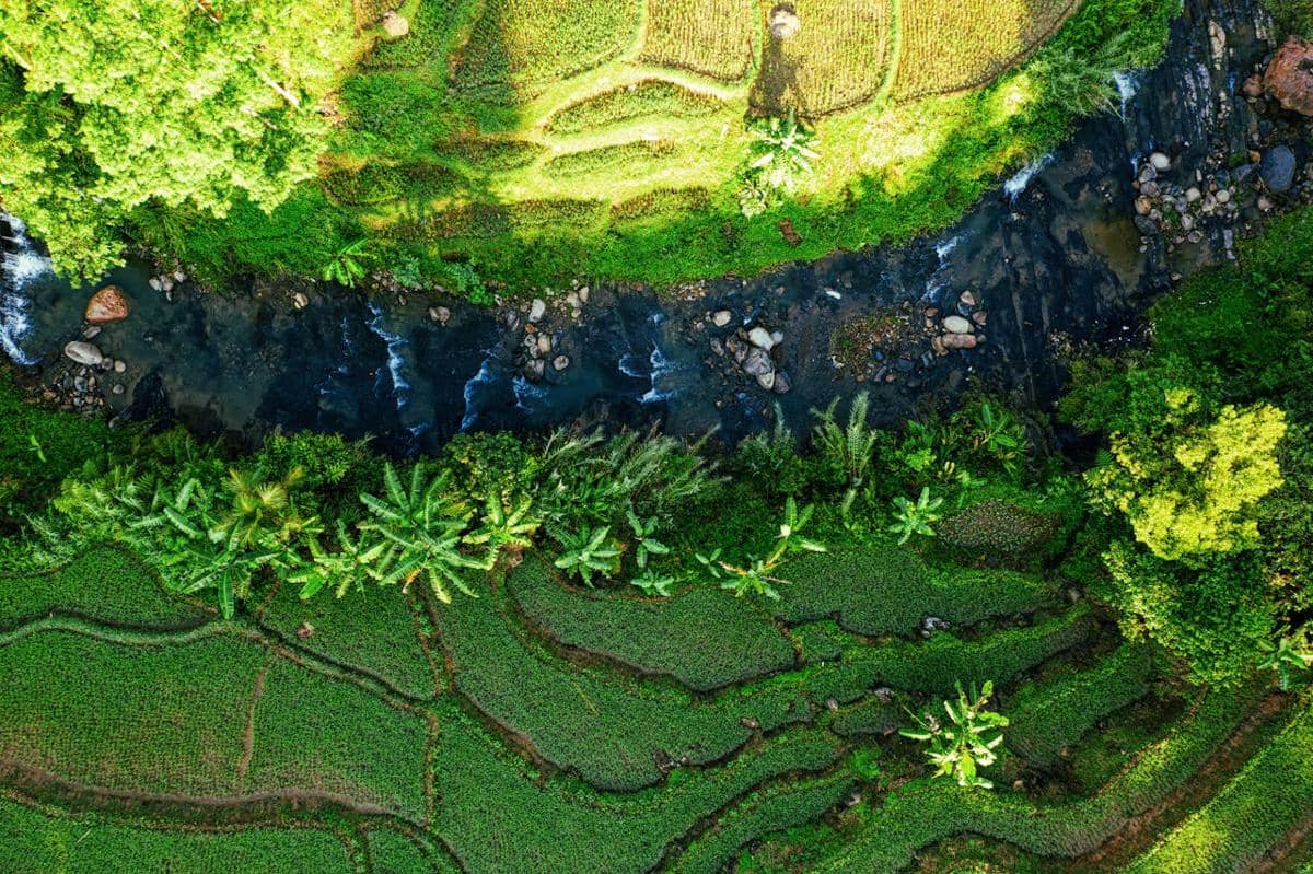 Ilustrasi sumber mata air