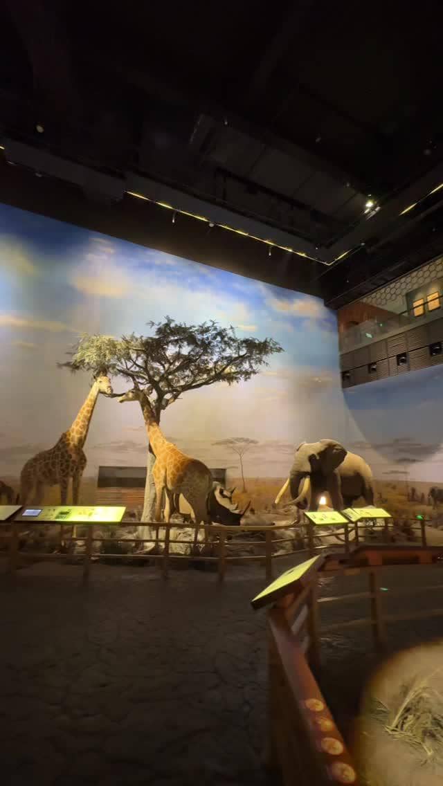 Keluarga Dion Wiyoko berlibur ke Shanghai