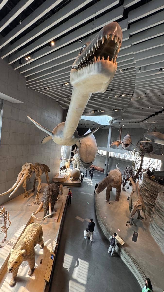 Keluarga Dion Wiyoko berlibur ke Shanghai