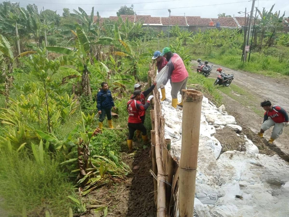 banjir semarang, dinar indah, tanggul kali babon, kali babon