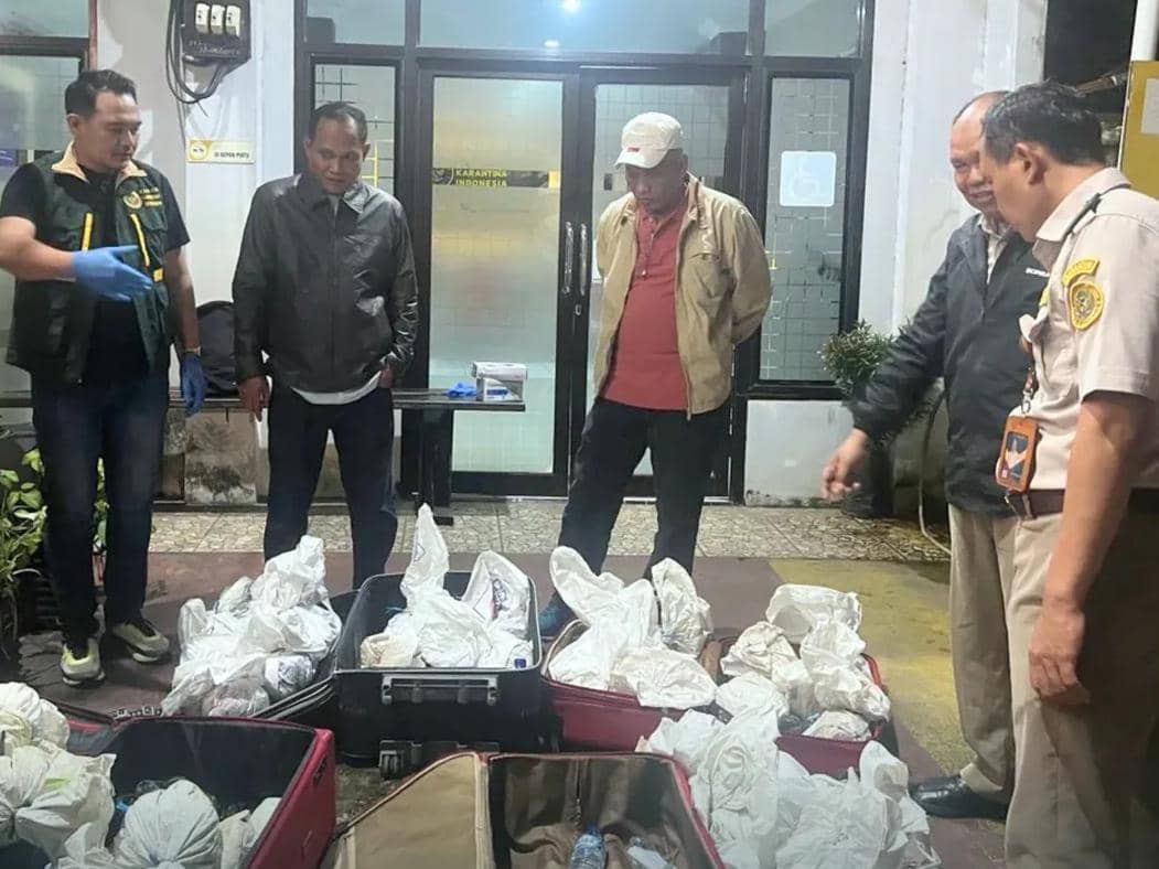 Badan Karantina Indonesia (Barantin) melalui Karantina Sulawesi Selatan menahan sebanyak 53 ekor kepiting kenari (Birgus latro) di Pelabuhan Soekarno-Hatta Makassar, Selasa (24/3). (Dok. Karantina Sulsel)