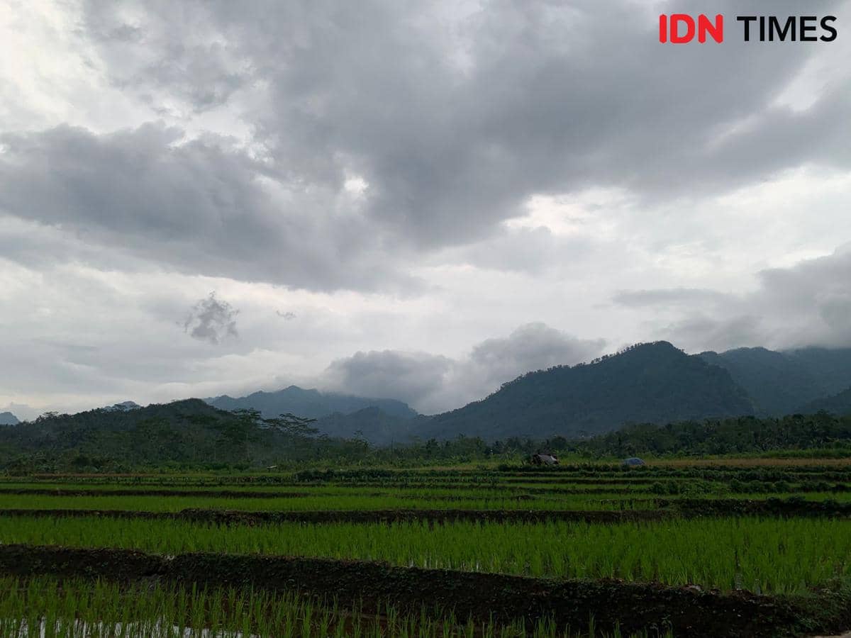 Industri Berkembang Pesat, Khofifah Minta Lahan Sawah Segera Dipetakan