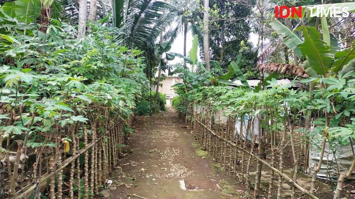 Desa Tunjungmuli, Kecamatan Karangmoncol, Kabupaten Purbalingga, Jawa Tengah.