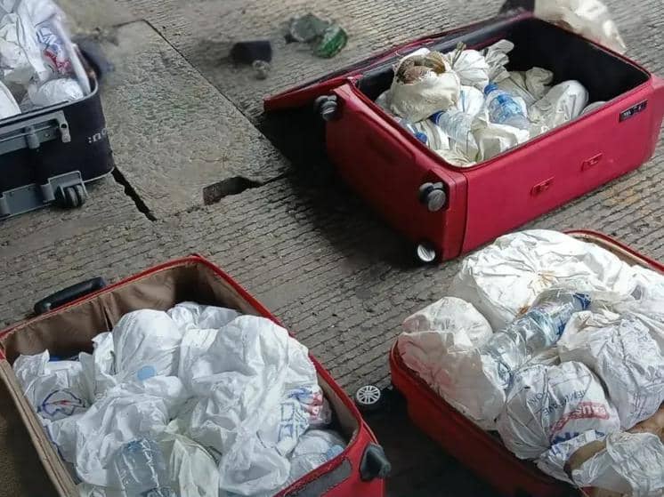 Badan Karantina Indonesia (Barantin) melalui Karantina Sulawesi Selatan menahan sebanyak 53 ekor kepiting kenari (Birgus latro) di Pelabuhan Soekarno-Hatta Makassar, Selasa (24/3). (Dok. Karantina Sulsel)