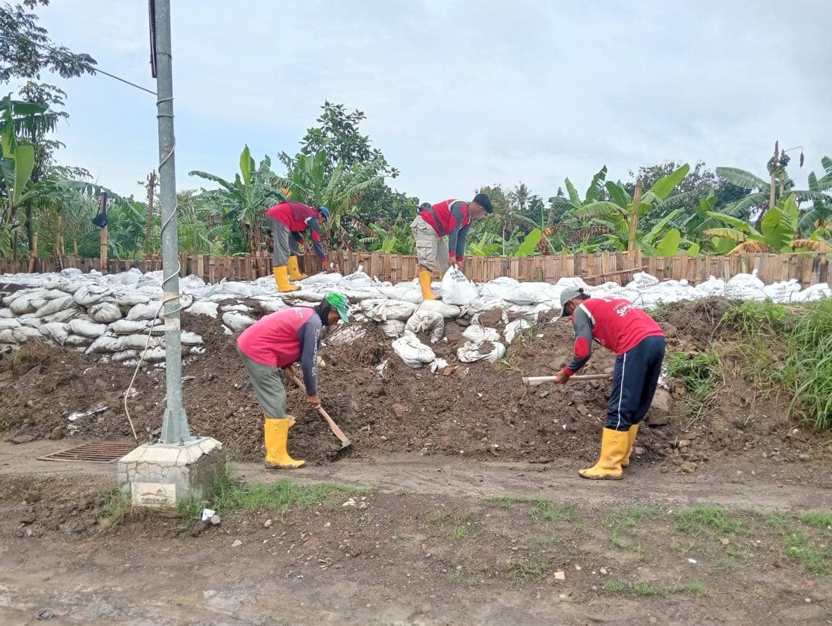 banjir semarang, dinar indah, tanggul kali babon, kali babon