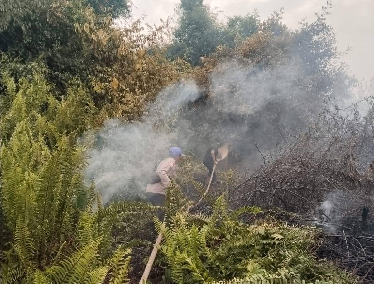 Puluhan Hektare Lahan Terbakar Hebat di Kubu Raya Kalimantan Barat