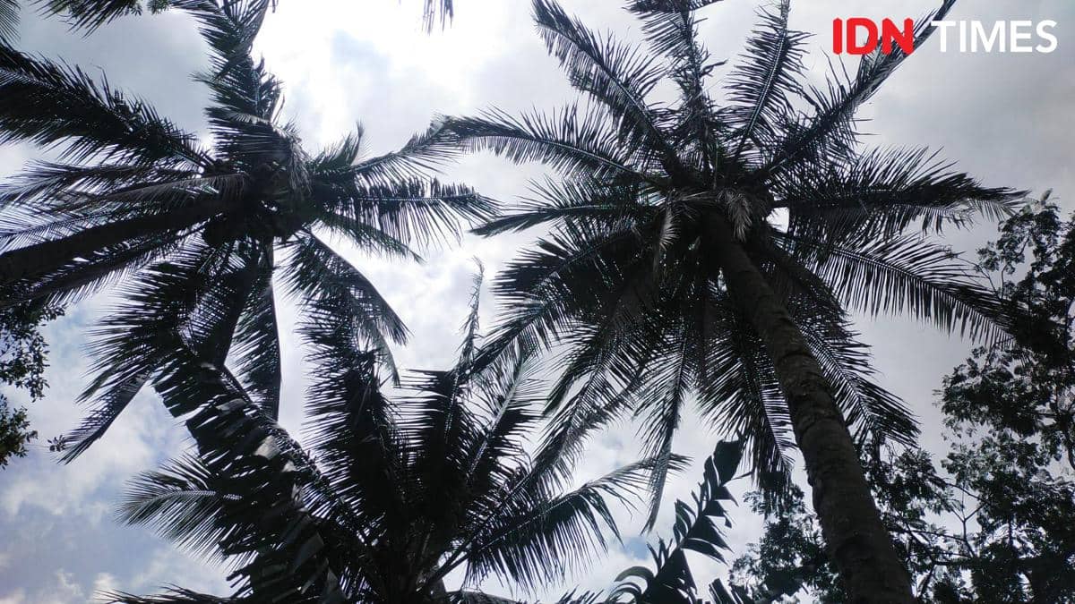 Cerita Para Pejuang Desa Antar Anak ke Perguruan Tinggi