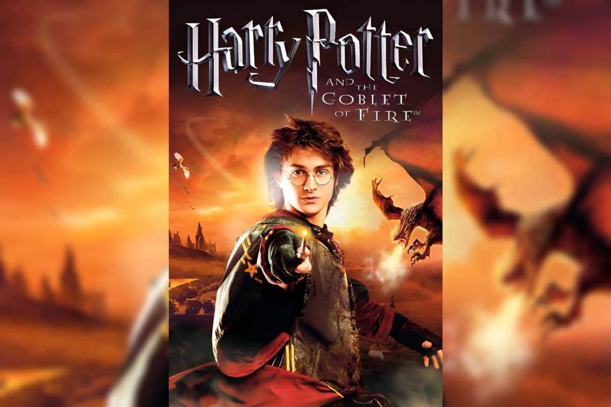 cover art game Harry Potter 4