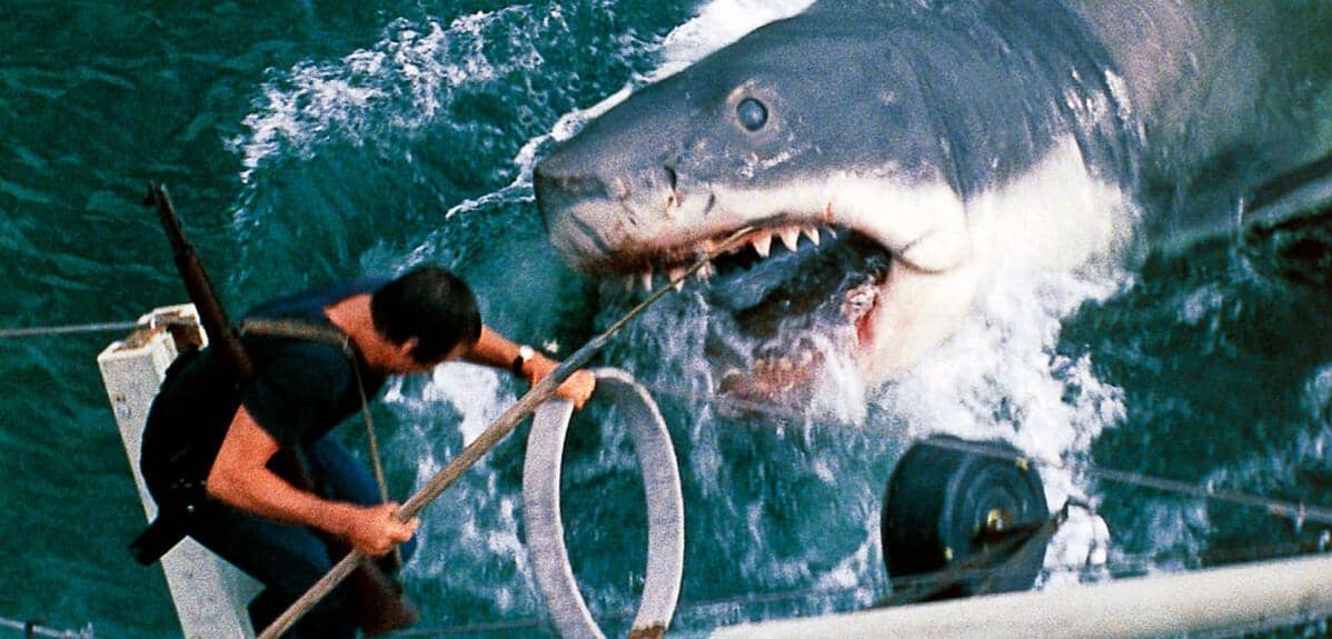 Jaws