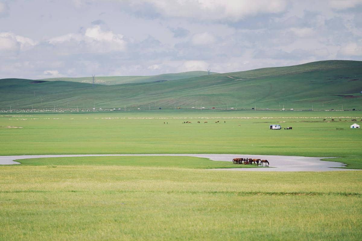 potret hamparan padang rumput Hulunbuir yang luas dan hijau, salah satu yang terindah di dunia