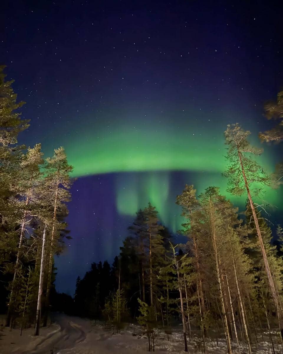 unggahan Nupur Sanon