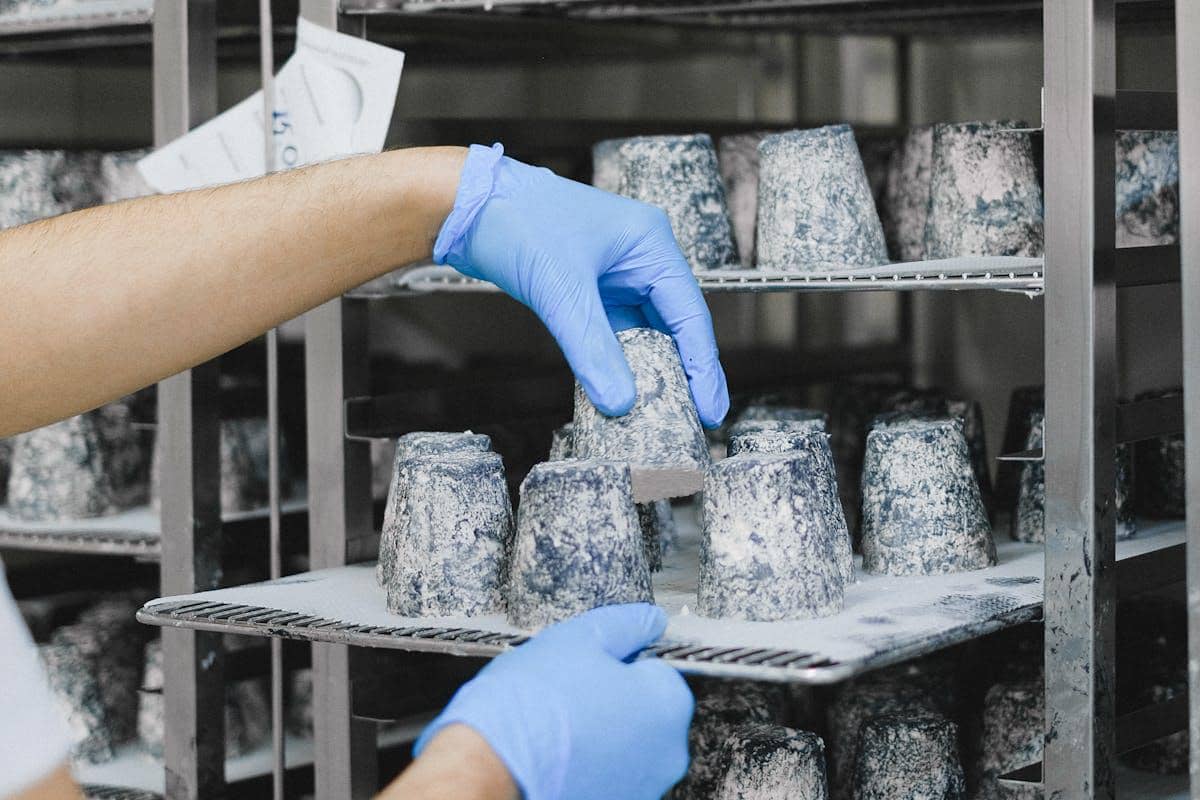 ilustrasi makanan fermentasi