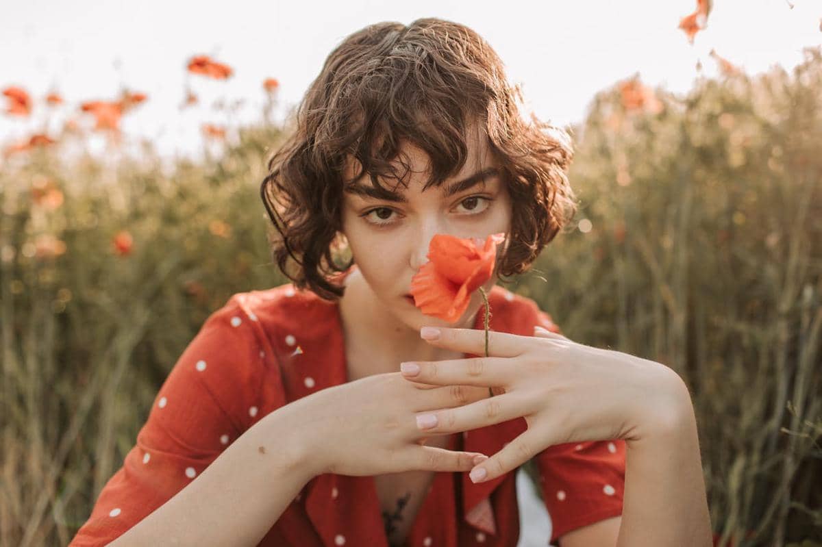 ilustrasi poni rambut